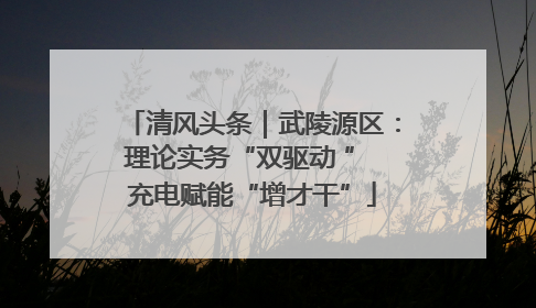 清风头条｜武陵源区：理论实务“双驱动 ” 充电赋能“增才干”